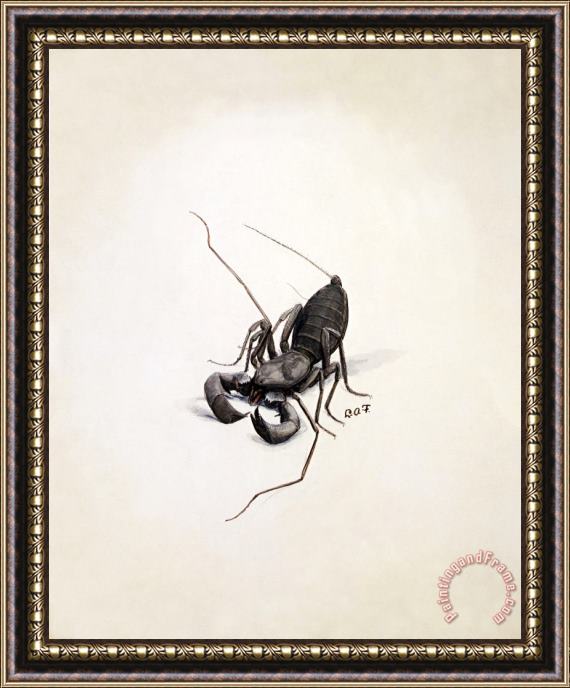 Louis Agassiz Fuertes Whip Scorpion Framed Painting