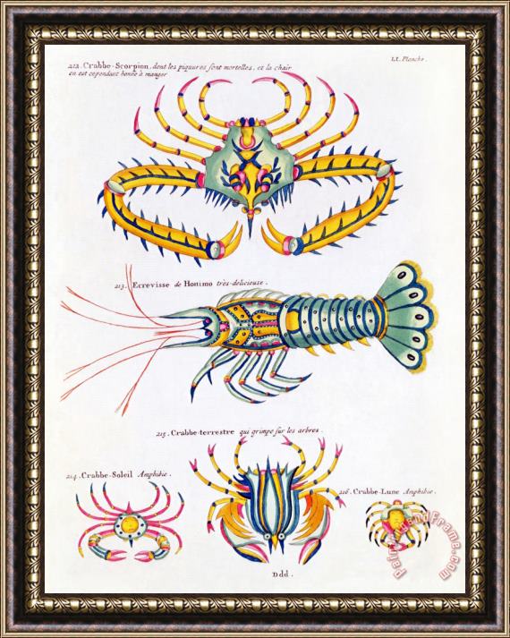 Louis Renard Crabs And Crayfish Framed Painting