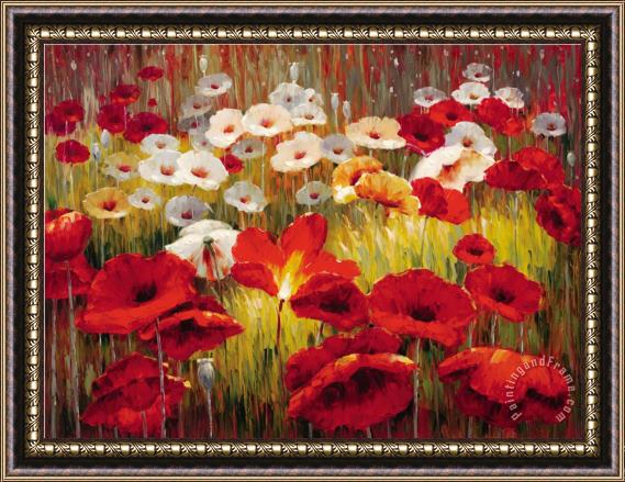 Lucas Santini Meadow Poppies II Framed Painting