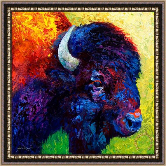 Marion Rose Bison Head Color Study III Framed Painting