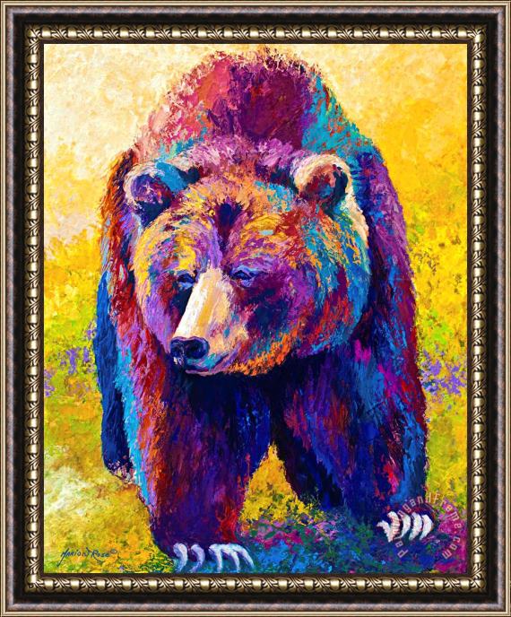 Marion Rose Close Encounter - Grizzly Bear Framed Print