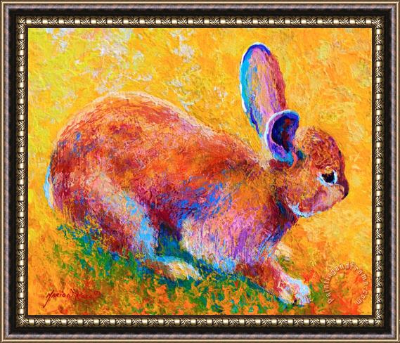 Marion Rose Cottontail II Framed Print