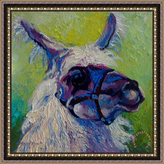 Marion Rose Lilloet - Llama Framed Painting