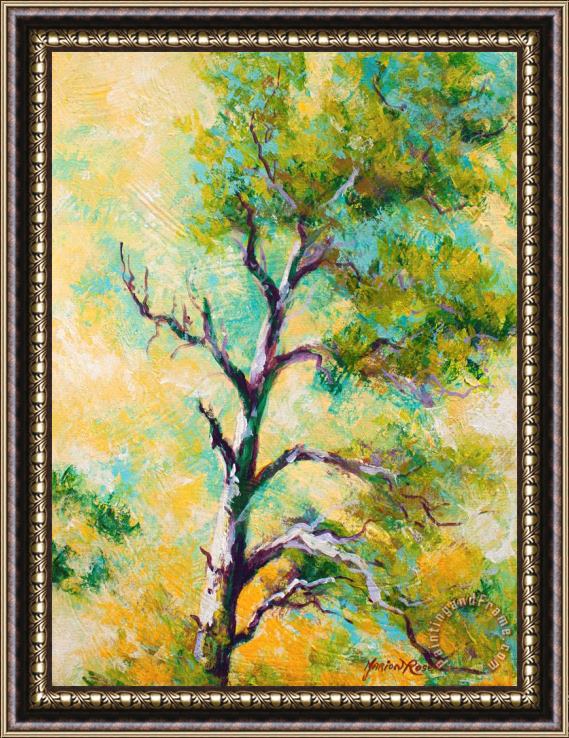 Marion Rose Pine Abstract Framed Print