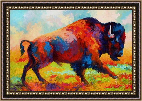 Marion Rose Running Free - Bison Framed Print
