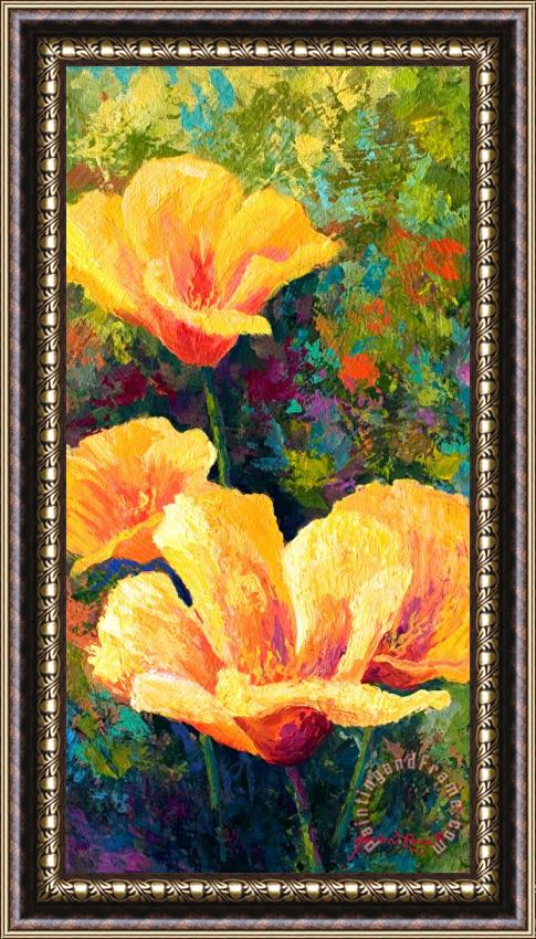 Marion Rose Yellow Field poppies Framed Print