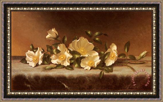 Martin Johnson Heade Cherokee Roses on a Light Gray Cloth Framed Print