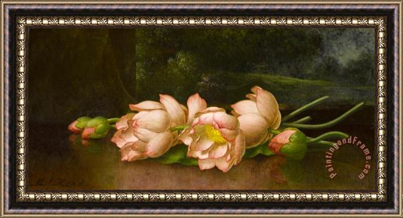 Martin Johnson Heade Lotus Flowers a Landscape Painting in The Background Framed Print