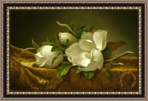 Martin Johnson Heade Magnolias on Gold Velvet Cloth Framed Print Martin Johnson Heade Magnolias on Gold Velvet Cloth Framed Print