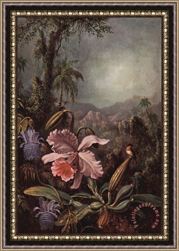 Martin Johnson Heade Orchideen, Passionsblumen Und Kolibris Framed Painting