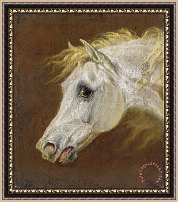Martin Theodore Ward Head of a Grey Arabian Horse Framed Print Martin Theodore Ward Head of a Grey Arabian Horse Framed Print