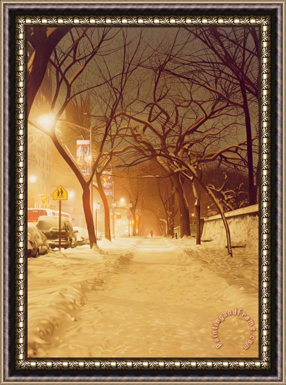Max Ferguson Central Park Nocturnal Snow II Framed Print