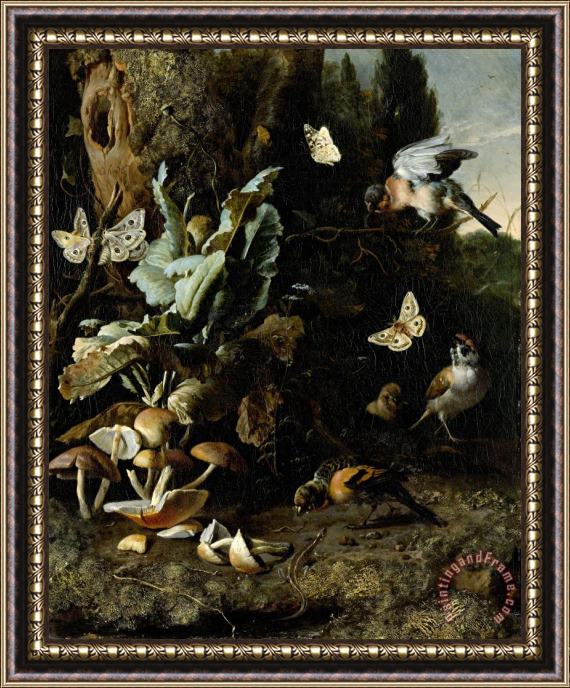 Melchior de Hondecoeter Animals And Plants Framed Painting
