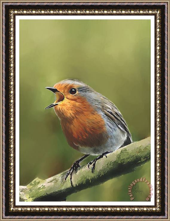 Michael Greenaway Sing Red Robin Sing Framed Print