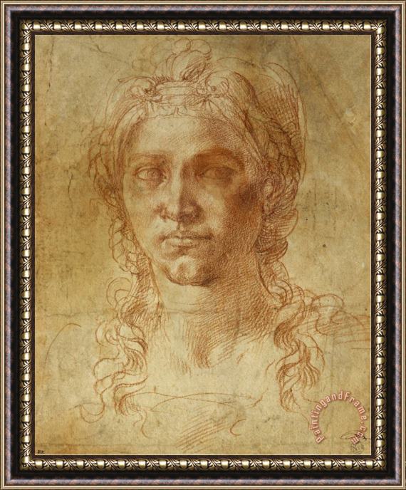 Michelangelo Buonarroti Female Idealized Head 1520 1530 Framed Print