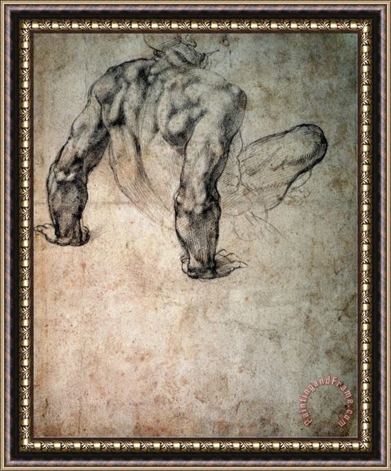Michelangelo Buonarroti W 63r Study of a Male Nude Leaning Back on His Hands Framed Print