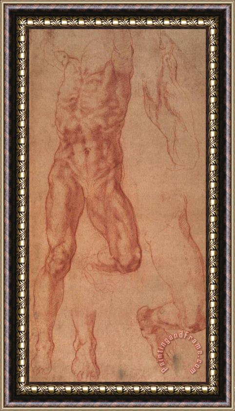 Michelangelo Study for Haman Framed Print