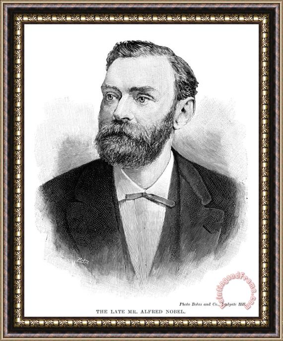 Others Alfred Nobel (1833-1896) Framed Painting