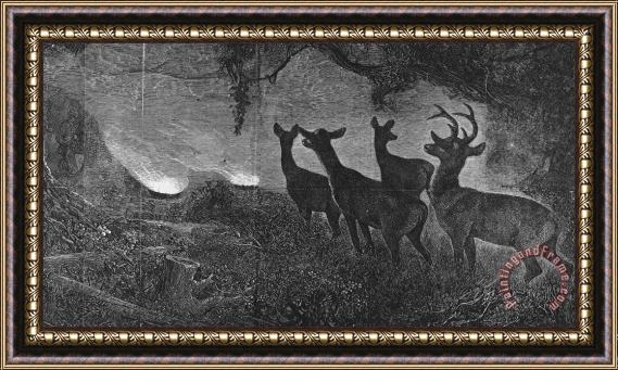 Others America: Deer Hunt, 1867 Framed Painting