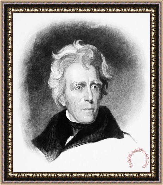 Others Andrew Jackson (1767-1845) Framed Painting