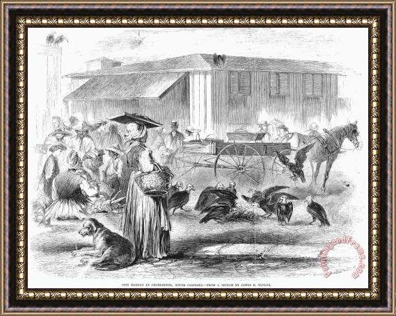 Others Charleston: Market, 1866 Framed Painting