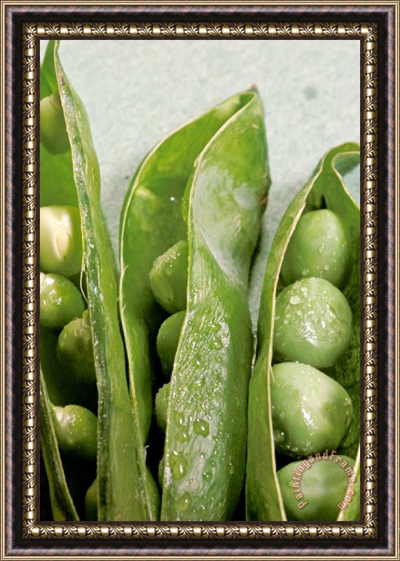 Others Close Up Of Green Peas In Pods Framed Painting