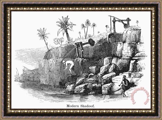 Others Egypt: Shadoof Irrigation Framed Print