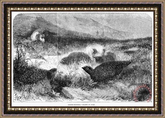 Others England: Grouse Hunting Framed Painting