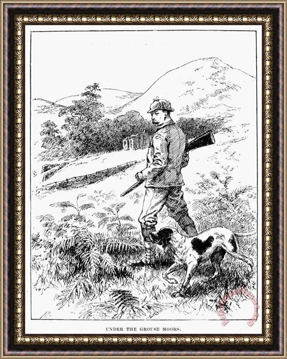 Others England: Grouse Hunting Framed Print