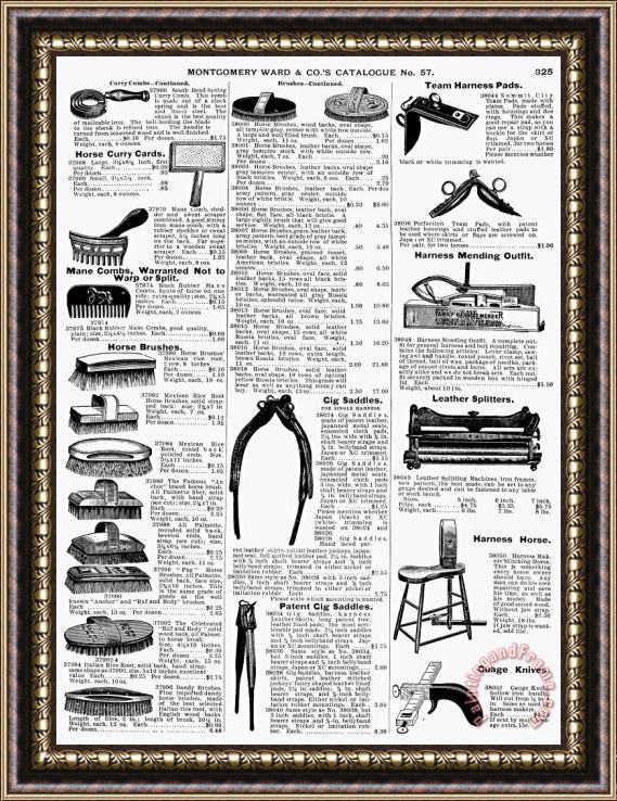 Others Equestrian Equipment, 1895 Framed Print