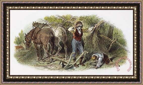 Others FARMING, 19th CENTURY Framed Print