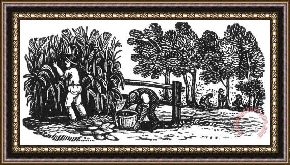 Others Farming: Harvest Framed Painting