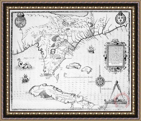 Others Florida: Map, 1591 Framed Painting
