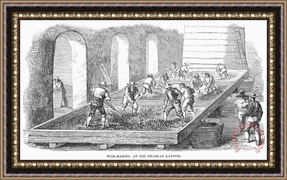 Others France: Winemaking, 1854 Framed Painting
