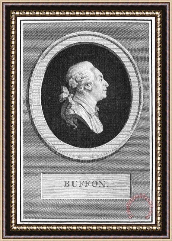 Others GEORGES LOUIS de BUFFON Framed Painting