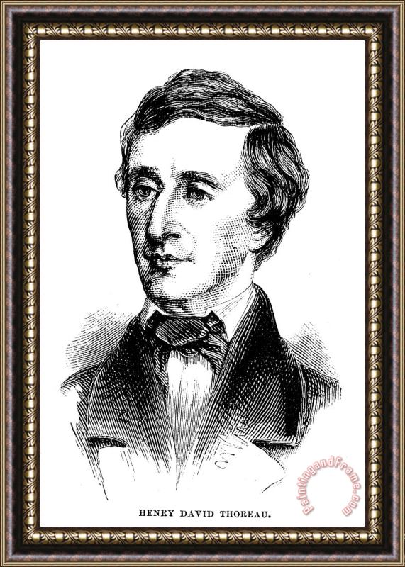 Others Henry David Thoreau Framed Painting