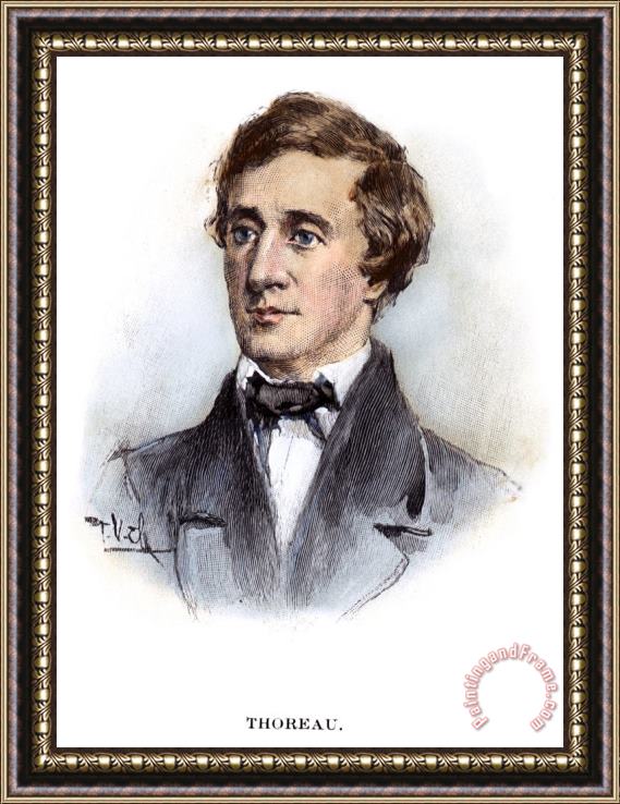 Others Henry David Thoreau Framed Painting