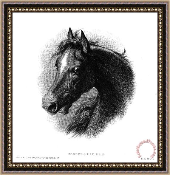 Others Horse Framed Painting
