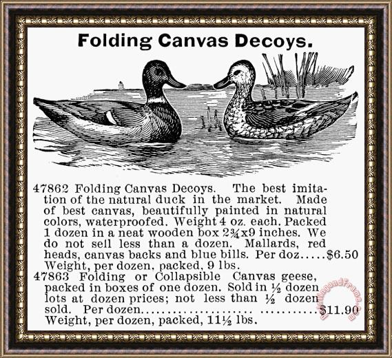 Others Hunting: Duck Decoy, 1895 Framed Print