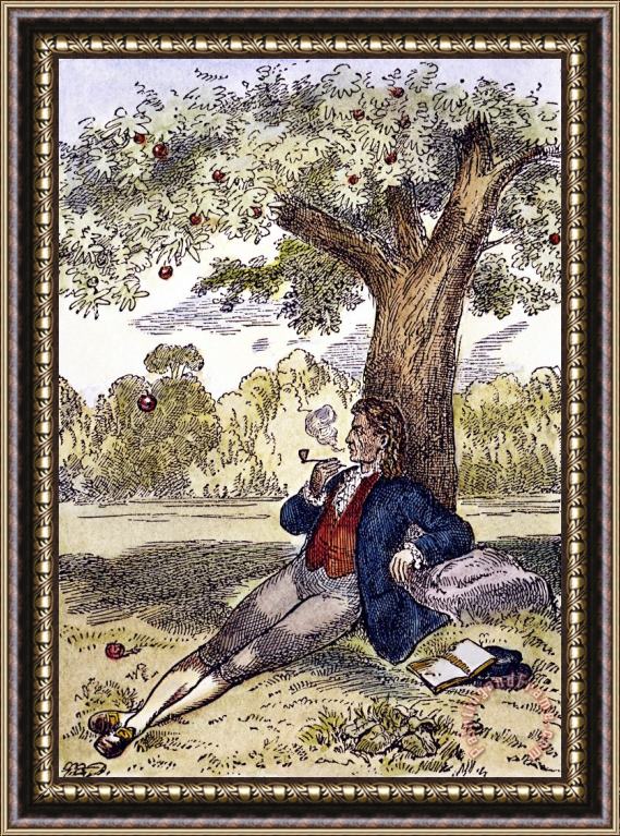Others Isaac Newton And The Apple Framed Painting
