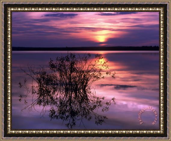 Others Lake Peno Framed Painting