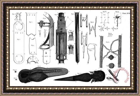 Others Leeuwenhoek: Microscope Framed Print