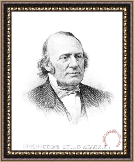 Others Louis Agassiz (1807-1873) Framed Print