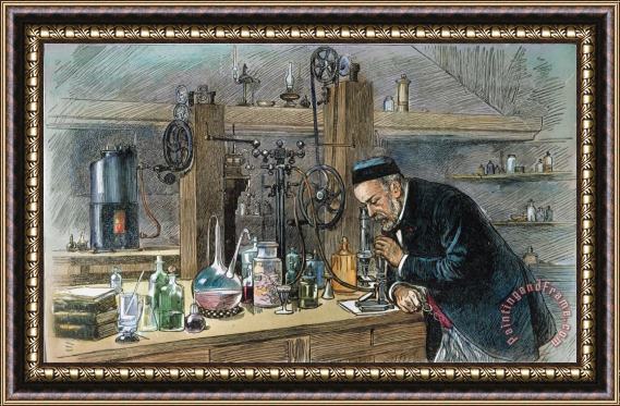 Others Louis Pasteur (1822-1895) Framed Painting