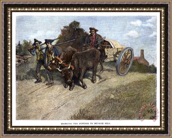 Others New Hampshire Minutemen Framed Print