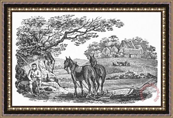 Others PLOUGHING, 19th CENTURY Framed Print
