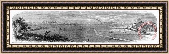 Others Rice Plantation, 1866 Framed Painting