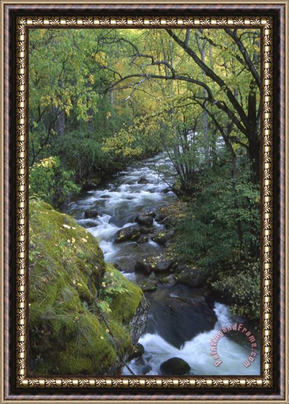 Others Russian Autumn Framed Painting