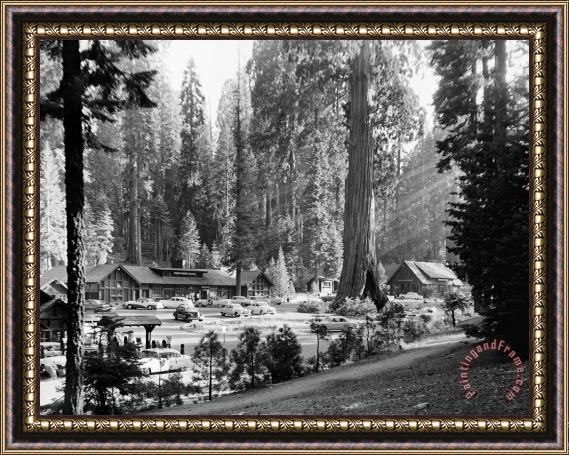 Others Sequoia National Park Framed Print