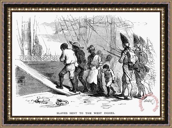 Others Slavery: West Indies Framed Print